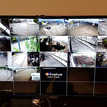 Çifliğinizdeki Hayvanlarınızı Gözünüzün Önünden Ayırmayın